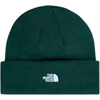 Norm Beanie